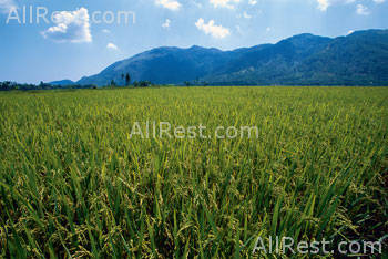 Evason Ana Mandara Nha Trang 67